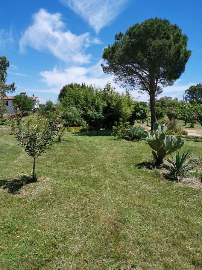 Green House Siniscola Εξωτερικό φωτογραφία