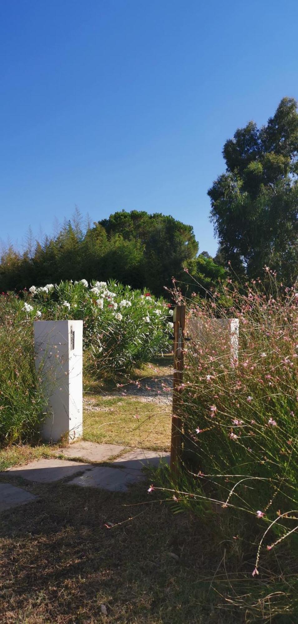 Green House Siniscola Εξωτερικό φωτογραφία